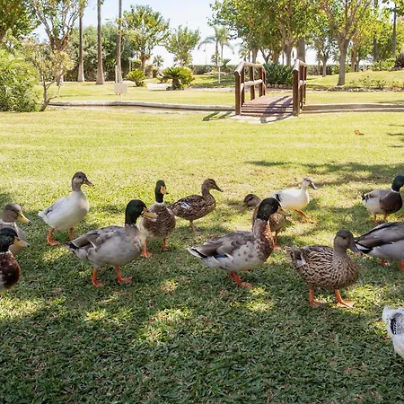 Sunstay Costa Lago Flat III Torremolinos Exterior photo